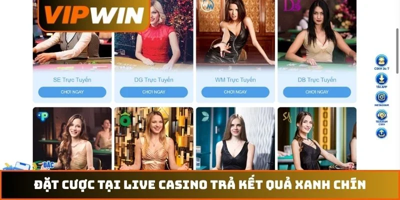 Đặt cược tại live casino trả kết quả xanh chín