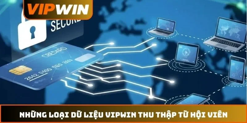 Quyền riêng tư VIPWIN 2 Những loại dữ liệu VIPWIN thu thập từ hội viên